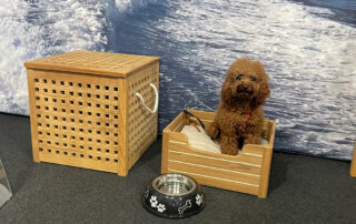 TOMMY | Cuccia in teak
